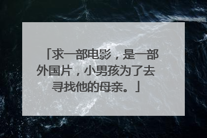 求一部电影，是一部外国片，小男孩为了去寻找他的母亲。