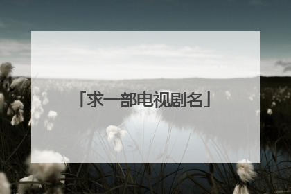 求一部电视剧名