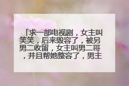 求一部电视剧，女主叫笑笑，后来毁容了，被另男二收留，女主叫男二哥，并且帮她整容了，男主以为女主已经
