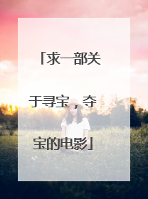 求一部关于寻宝,夺宝的电影