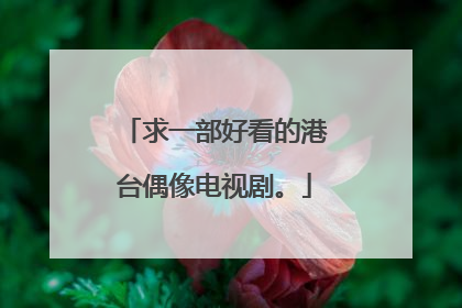 求一部好看的港台偶像电视剧。