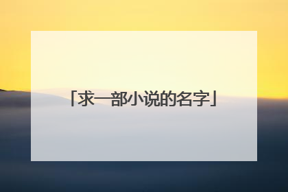 求一部小说的名字