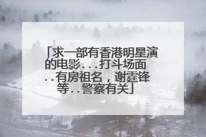 求一部有香港明星演的电影...打斗场面..有房祖名，谢霆锋等..警察有关