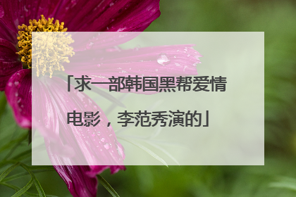 求一部韩国黑帮爱情电影，李范秀演的