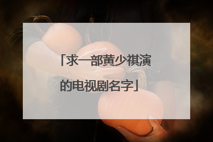 求一部黄少祺演的电视剧名字