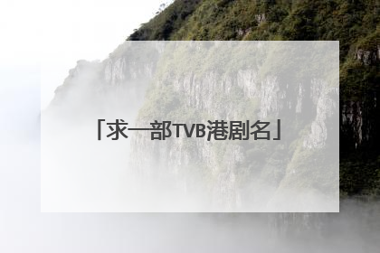 求一部TVB港剧名