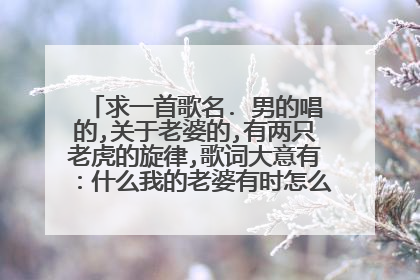 求一首歌名. 男的唱的,关于老婆的,有两只老虎的旋律,歌词大意有:什么我的老婆有时怎么样 有时怎么样.