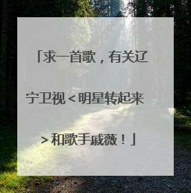 求一首歌,有关辽宁卫视<明星转起来>和歌手戚薇!