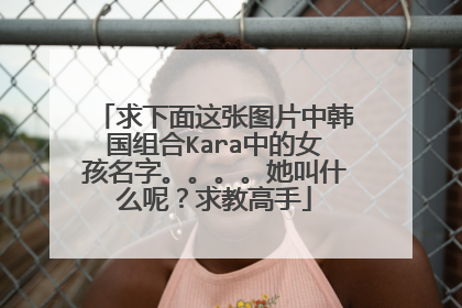 求下面这张图片中韩国组合Kara中的女孩名字。。。。她叫什么呢？求教高手