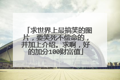 求世界上最搞笑的图片，要笑死不偿命的，并加上介绍。求啊，好的加分100财富值