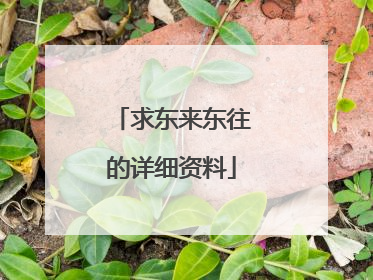 求东来东往的详细资料