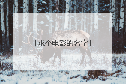 求个电影的名字