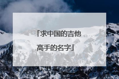 求中国的吉他高手的名字