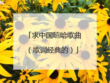 求中国嘻哈歌曲(歌词经典的)