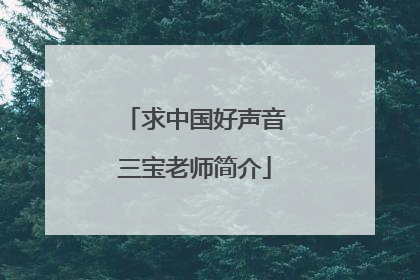求中国好声音三宝老师简介