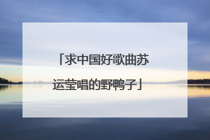 求中国好歌曲苏运莹唱的野鸭子