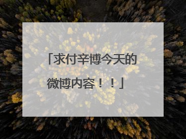 求付辛博今天的微博内容！！