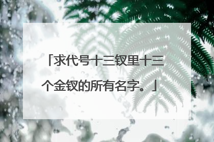 求代号十三钗里十三个金钗的所有名字。