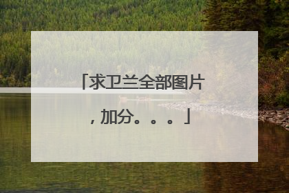 求卫兰全部图片,加分。。。