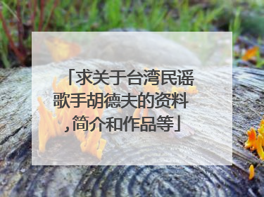 求关于台湾民谣歌手胡德夫的资料,简介和作品等