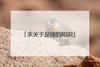 求关于足球的知识