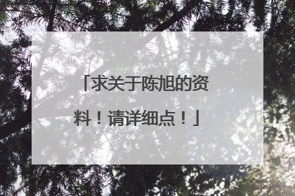 求关于陈旭的资料!请详细点!