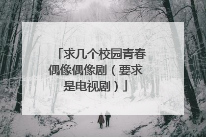 求几个校园青春偶像偶像剧(要求是电视剧)