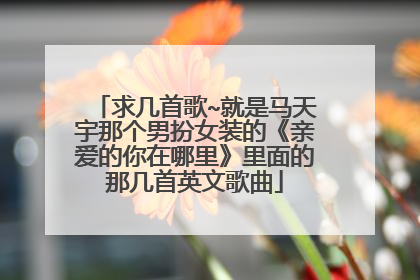 求几首歌~就是马天宇那个男扮女装的《亲爱的你在哪里》里面的那几首英文歌曲
