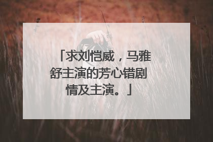 求刘恺威，马雅舒主演的芳心错剧情及主演。