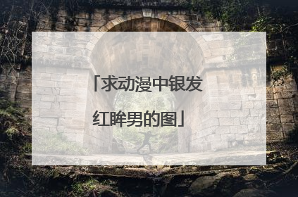 求动漫中银发红眸男的图