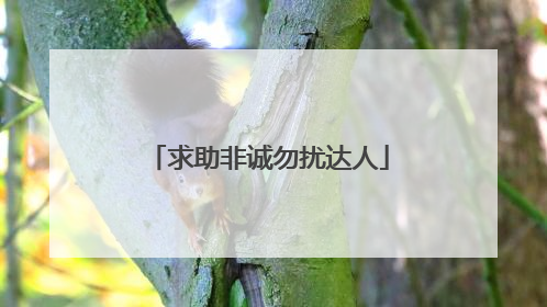 求助非诚勿扰达人