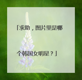 求助,图片里是哪个韩国女明星?