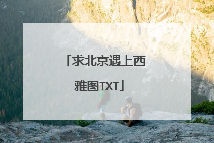 求北京遇上西雅图TXT