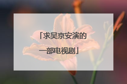 求吴京安演的一部电视剧