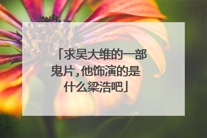 求吴大维的一部鬼片,他饰演的是什么梁浩吧