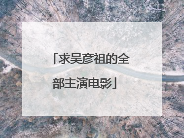 求吴彦祖的全部主演电影