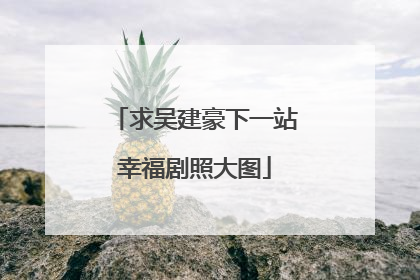 求吴建豪下一站幸福剧照大图