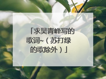 求吴青峰写的歌词~(苏打绿的歌除外)