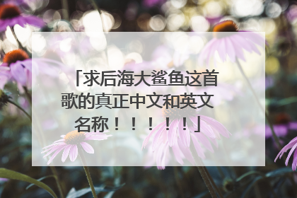 求后海大鲨鱼这首歌的真正中文和英文名称！！！！！