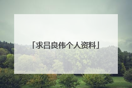 求吕良伟个人资料