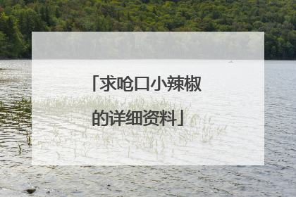 求呛口小辣椒的详细资料