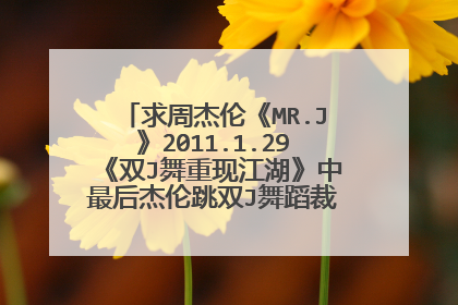 求周杰伦《MR.J》2011.1.29《双J舞重现江湖》中最后杰伦跳双J舞蹈裁剪视频，只要这一段舞蹈的，裁剪好的谢
