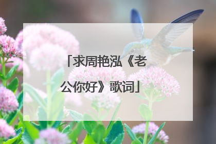 求周艳泓《老公你好》歌词