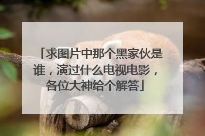 求图片中那个黑家伙是谁，演过什么电视电影，各位大神给个解答