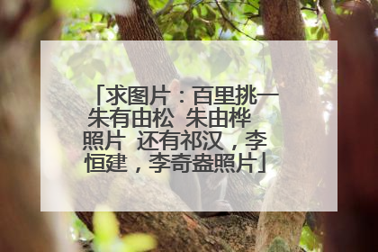 求图片:百里挑一朱有由松 朱由桦 照片 还有祁汉,李恒建,李奇盎照片