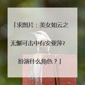 求图片:美女如云之无懈可击中有安亚萍? 扮演什么角色?