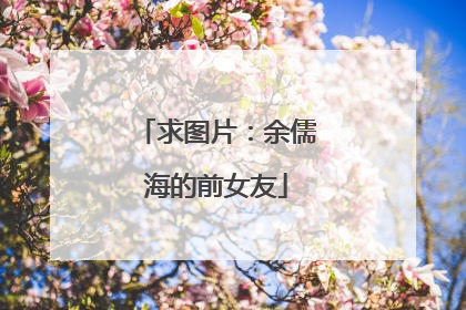 求图片:余儒海的前女友