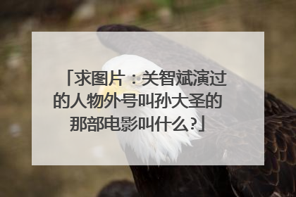 求图片:关智斌演过的人物外号叫孙大圣的那部电影叫什么?