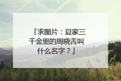 求图片：夏家三千金里的周晓菁叫什么名字？