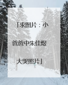 求图片：小爸爸中朱佳煜大哭照片